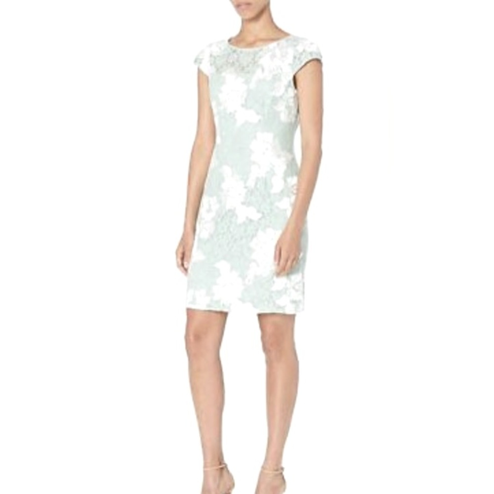 Adrianna Papell Lace Soutache Dress